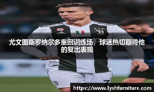 摩根体育娱乐