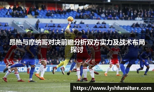 摩根综合体育官网