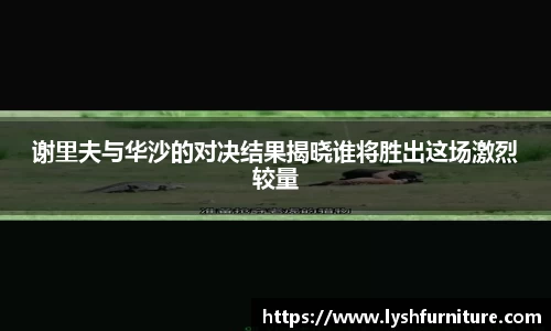 摩根综合体育官网