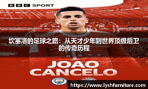 摩根综合体育官网