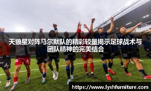 天狼星对阵马尔默队的精彩较量揭示足球战术与团队精神的完美结合